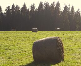 Polští rolníci na protest zablokovali ministerstvo zemědělství balíky slámy