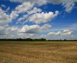 Exšéf státního fondu Šebestyán povede Agro-Měřín, Večeřa předává firmu dceři