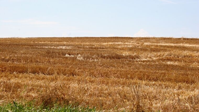 Chystaný zákon o předkupním právu podle kritiků přihrává agrokoncernům