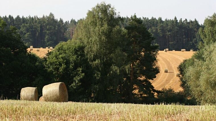 Týden podle PH č. 35 - 2019 (pH týdne: 3)