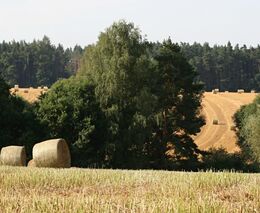 Týden podle PH č. 35 - 2019 (pH týdne: 3)