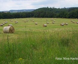 Nové technologie v zemědělství přispějí k zajištění produkce i snižování skleníkových plynů