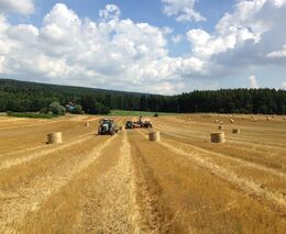 Stát mohl dotace Agrofertu vymáhat už dávno, uvedla asociace drobných zemědělců
