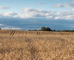 S čím jménem na rtech?