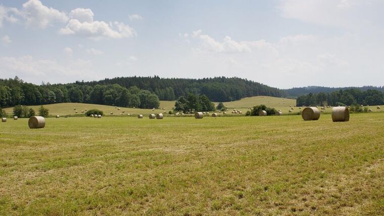 NKÚ: Ministerstvo zemědělství podpořilo zemědělský výzkum, ale přínosy nezná