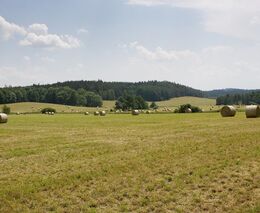 NKÚ: Ministerstvo zemědělství podpořilo zemědělský výzkum, ale přínosy nezná