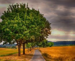 Udělte cenu veřejnosti nejlepším projektům, které pomáhají přizpůsobit se klimatickým změnám