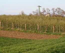 Narovnejme vlastnické vztahy k půdě