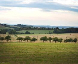 Kam mizí zemědělská půda?