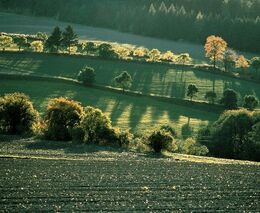 Zpráva o stavu životního prostředí v Evropě chválí pokroky v Česku