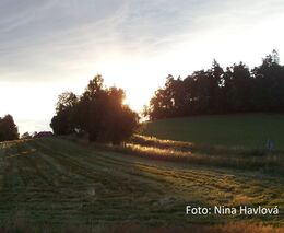 Přednáška „Syntropické zemědělství v Evropě“