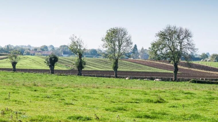 SZIF vydává rozhodnutí na Přechodné vnitrostátní podpory, Greening a pro mladé zemědělce