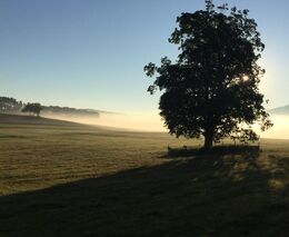 Pozvánka na seminář „Strom v zemědělské krajině“