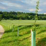 Adapterra Awards otevírá nominace. Speciálně ocení zemědělské projekty posilující odolnost krajiny