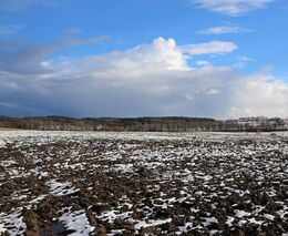 Vedení AK posílá demonstrovat své členy proti jejich vlastním zájmům, koalice riskuje důvěru sedláků
