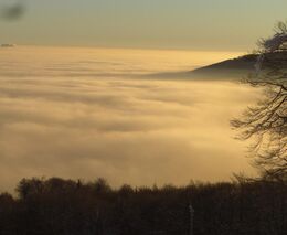 Český vědec získal prestižní grant. Bude zkoumat, jak se udržuje rozmanitost v přírodě