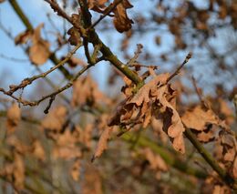 Pozvánka na diskusní seminář k obnově přírody