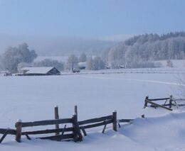 Týden podle PH č. 6 - 2021 (pH týdne: 7)