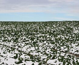 Ministr zemědělství: Evropská komise musí změnit pravidla pro kontroly zemědělců