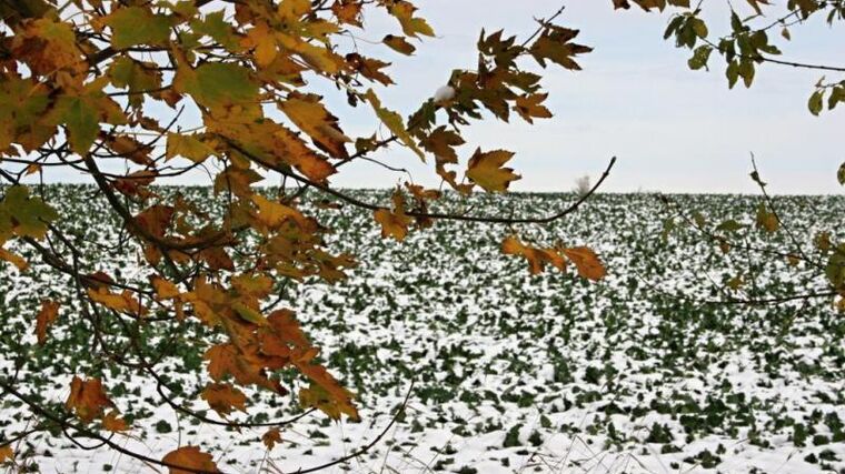 Další existence Pozemkového fondu ČR není žádoucí