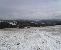 Vznik Státního pozemkového úřadu definitivně schválen 