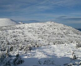 Týden podle PH č. 8 - 2018 (pH týdne: 6)