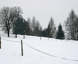 Týden podle PH č. 2 - 2021 (pH týdne: 9)