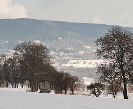 „Je to placený lobbista.“ Šebestyána tlačí velkofarmáři, malí proti němu brojí