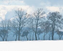 Havel: Ochrana životního prostředí se zvyšuje, ne všechna opatření jsou ale optimální