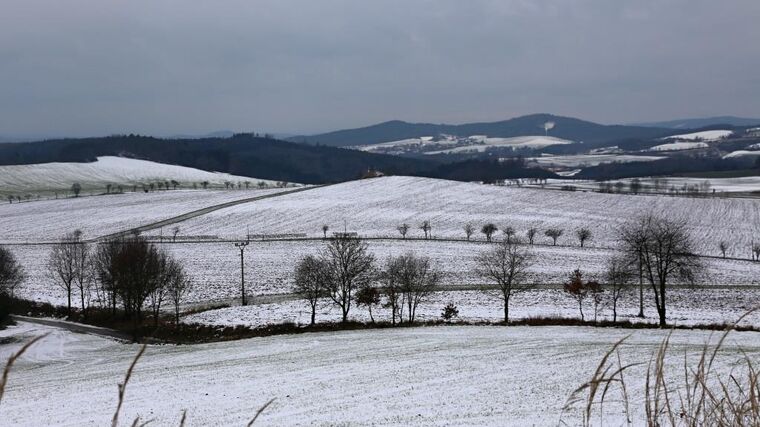 Týden v zemědělství podle Petra Havla - č. 5