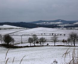 Týden v zemědělství podle Petra Havla - č. 5