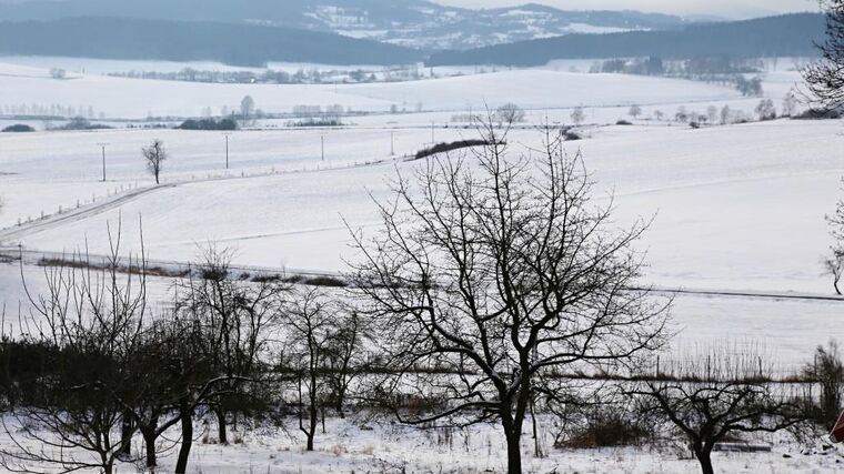 Adaptační strategie: (ne)schopnost stanovit priority