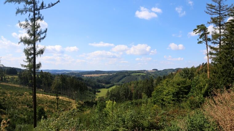 Environmentální žal dopadá na většinu mladých