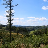 Environmentální žal dopadá na většinu mladých