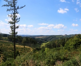 Environmentální žal dopadá na většinu mladých