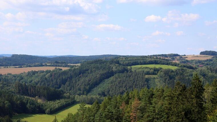 Týden v zemědělství podle Petra Havla - č. 17