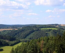 Týden v zemědělství podle Petra Havla - č. 17