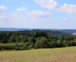 Ministerstvo zemědělství nemá dost peněz na podpory pro lesníky, uvedl Výborný