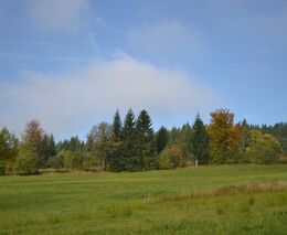 Týden v zemědělství podle Petra Havla - č. 39