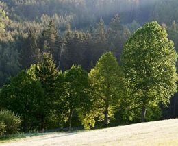 Týden v zemědělství podle Petra Havla – č. 21