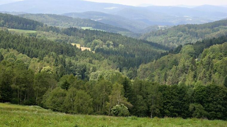 Kšeft s mysliveckým zákonem na úkor zemědělců, vlastníků lesů, státních peněz a udržitelné krajiny