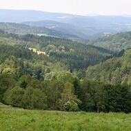 Horské ekosystémy se mění v důsledku oteplování pětkrát rychleji než lesy a louky