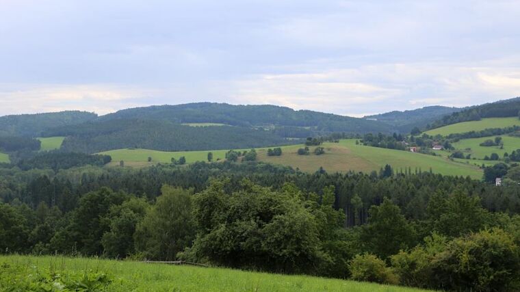 Obrovské škody způsobené přemnoženou zvěří vyřeší jen nový zákon o myslivosti