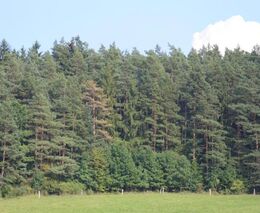 Týden podle PH č. 41 - 2017 (pH týdne: 4)