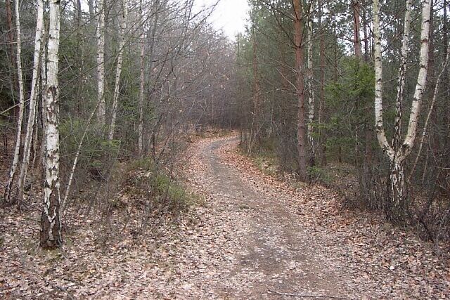 Novela drážního zákona – železnici mohou ohrozit kameny, sesuvy půdy i podmáčený terén