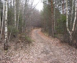 Novela drážního zákona – železnici mohou ohrozit kameny, sesuvy půdy i podmáčený terén