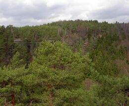 Vítězem lesnického tendru Lesů ČR je Uniles ze skupiny Agrofert