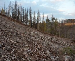 Půda ročně uvolní víc oxidu uhličitého než fosilní paliva. V Česku k oteplování přispívají i holiny