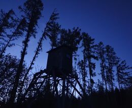 Hospodáři této země, braňte se!