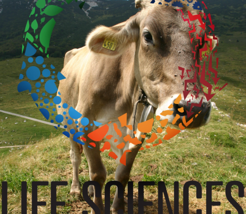 Filmový festival ČZU je záslužný počin